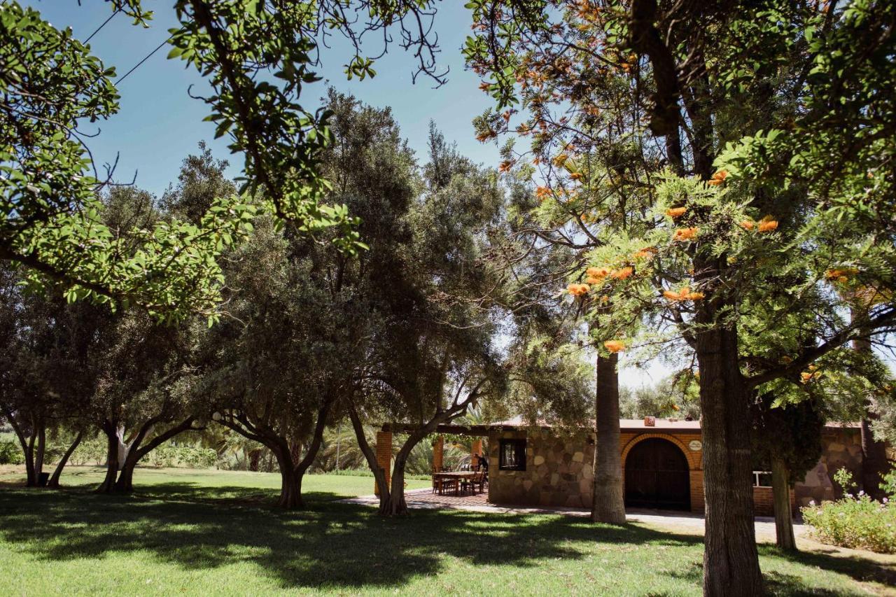 Villa Toros Pintos Valle de Guadalupe Exterior foto